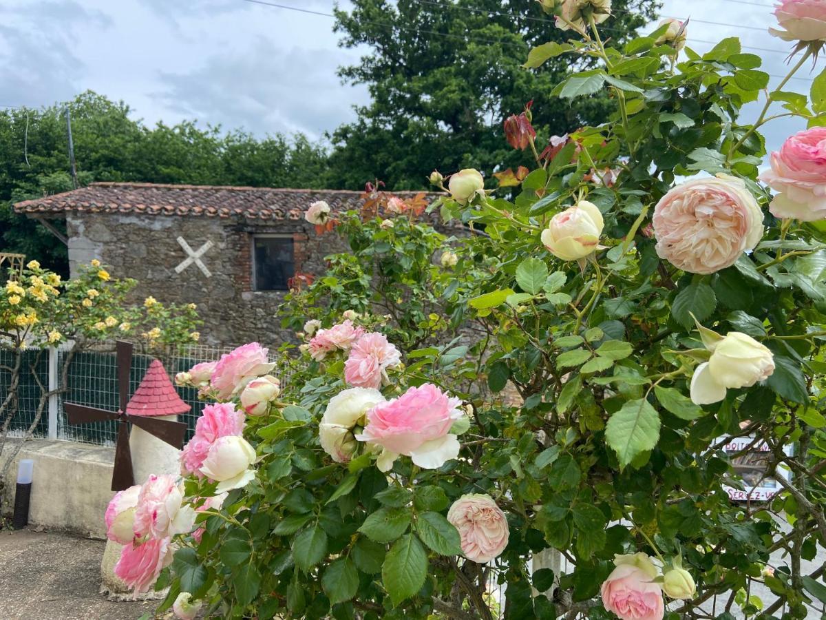 Le Petit Moulin Guest house