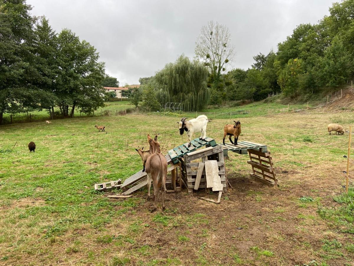 Le Petit Moulin Gasthof Pouzauges