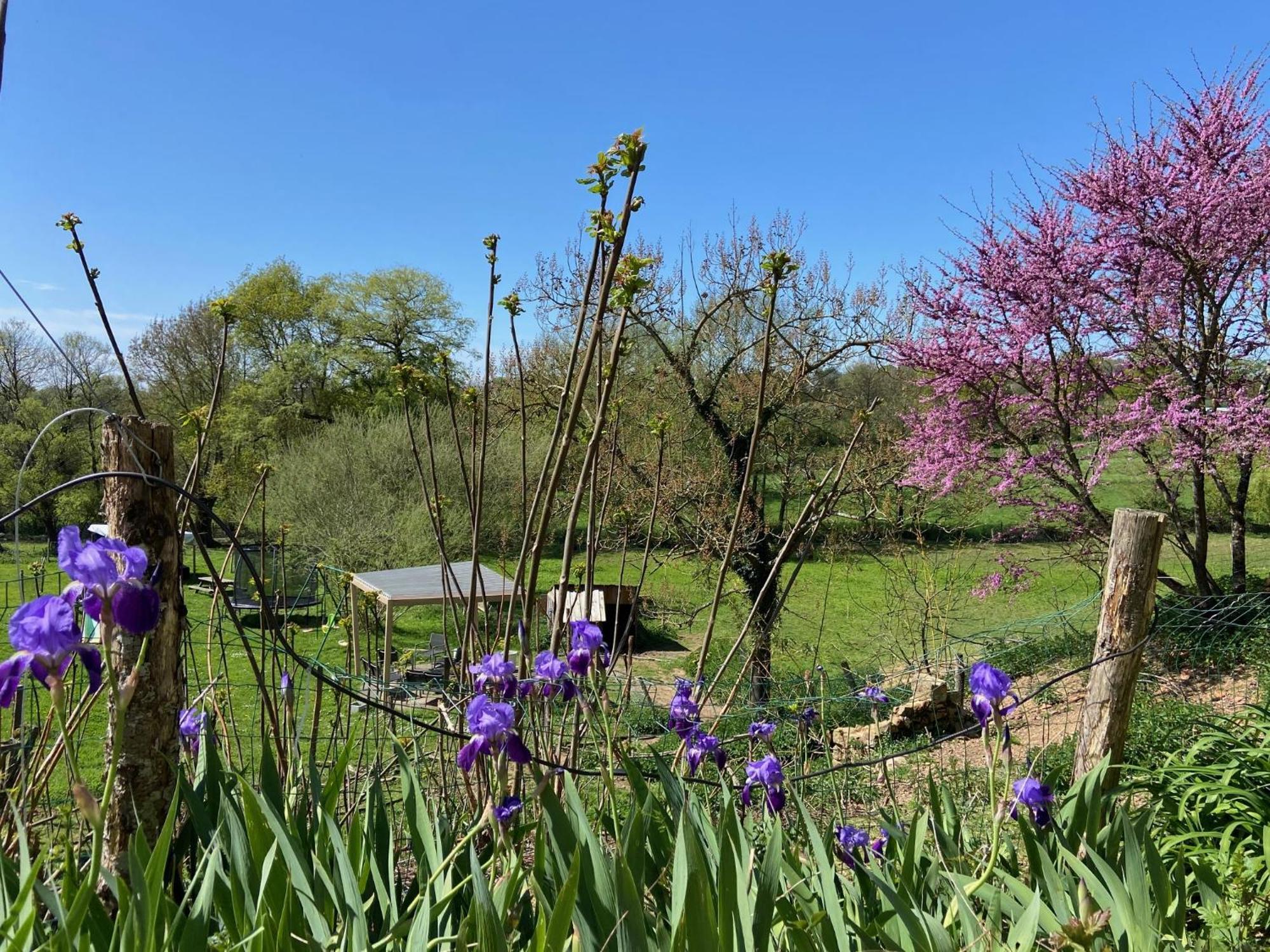 Le Petit Moulin Gasthof Pouzauges